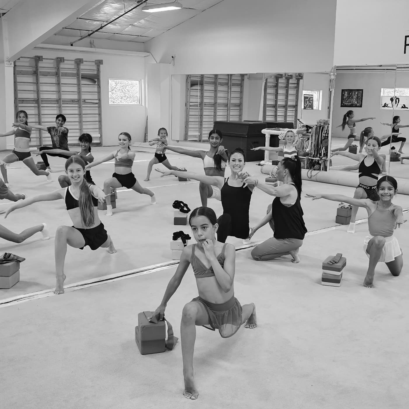 Multi-sport flexibility training